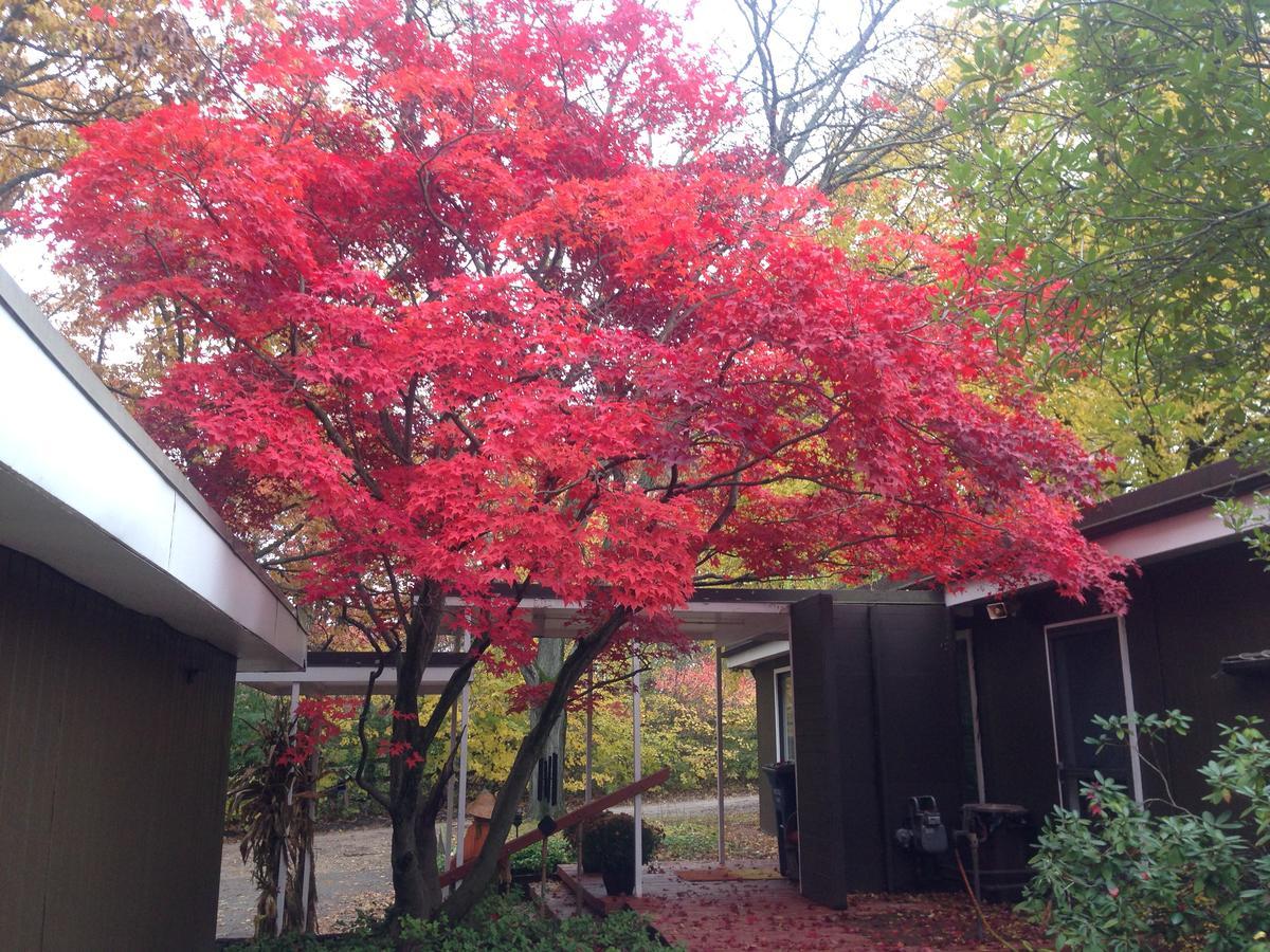 Huron River Guest House Ann Arbor Esterno foto
